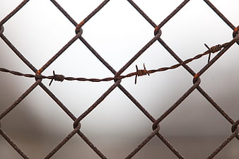 Rusty Chain Link Fence With Barbed Wire Close Up