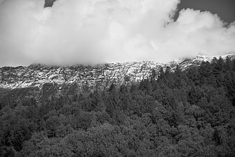 Black and white mountain landscape with forest and clouds