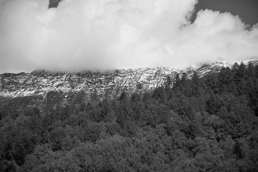 Black and white mountain landscape with forest and clouds