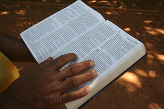 Close-up of a hand holding an open Bible outdoors