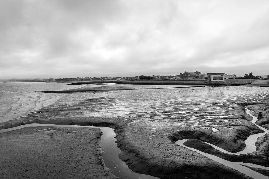 Black and white tidal flats with winding water channels