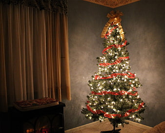Decorated Christmas Tree with Red Ribbon and Lights in Dim Room
