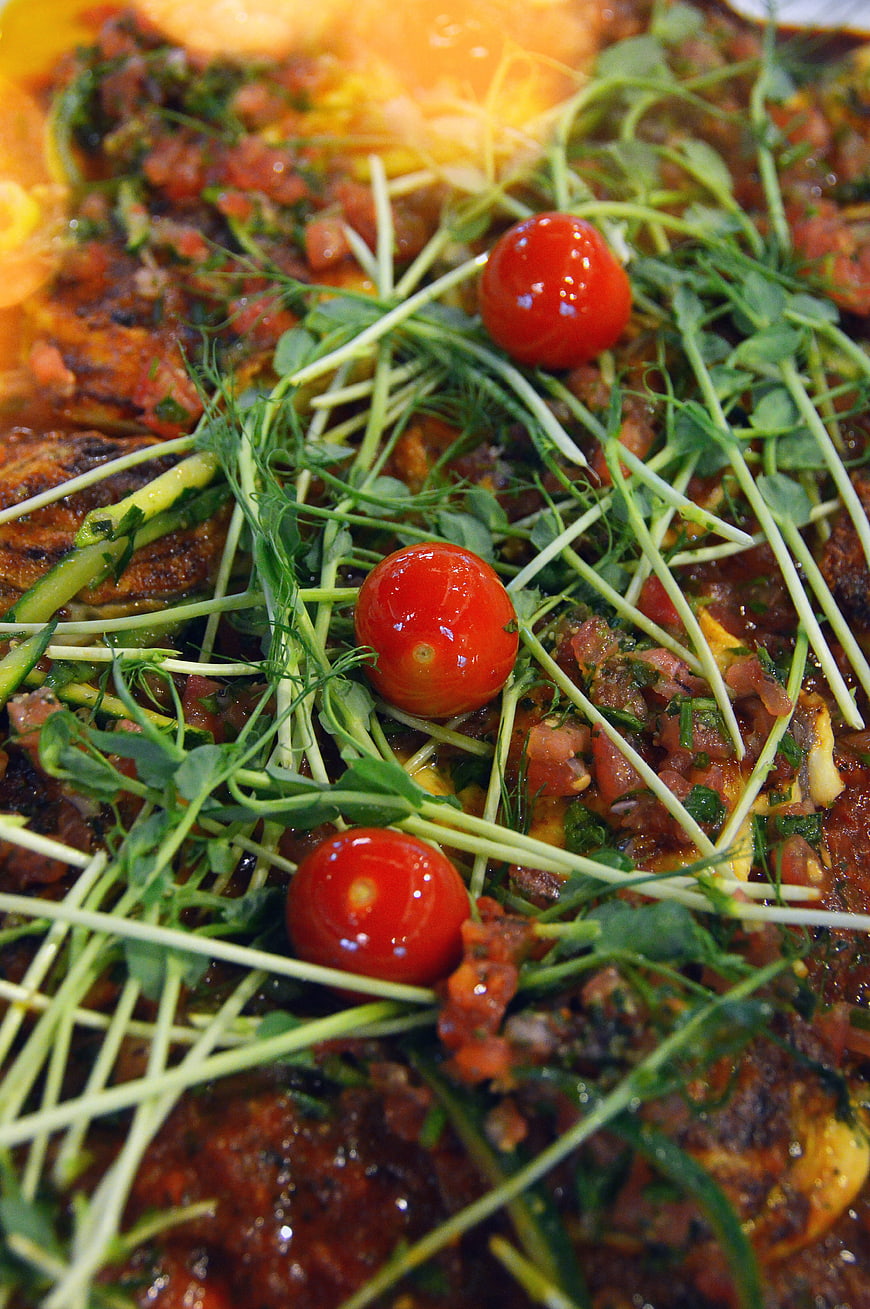Close-up of gourmet grilled dish with fresh herbs and cherry tomatoes