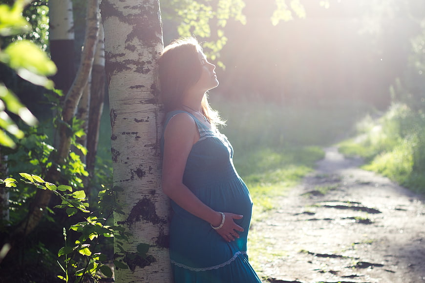 Pregnant woman leaning against birch tree in sunlight