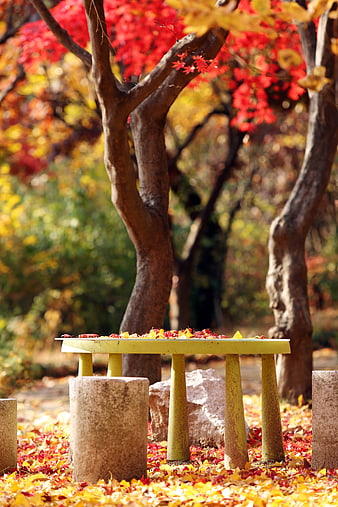 Autumn Park Scene with Stone Table and Red Maple Leaves