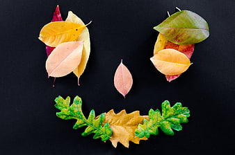 Autumn leaves arranged as a smiley face on black background