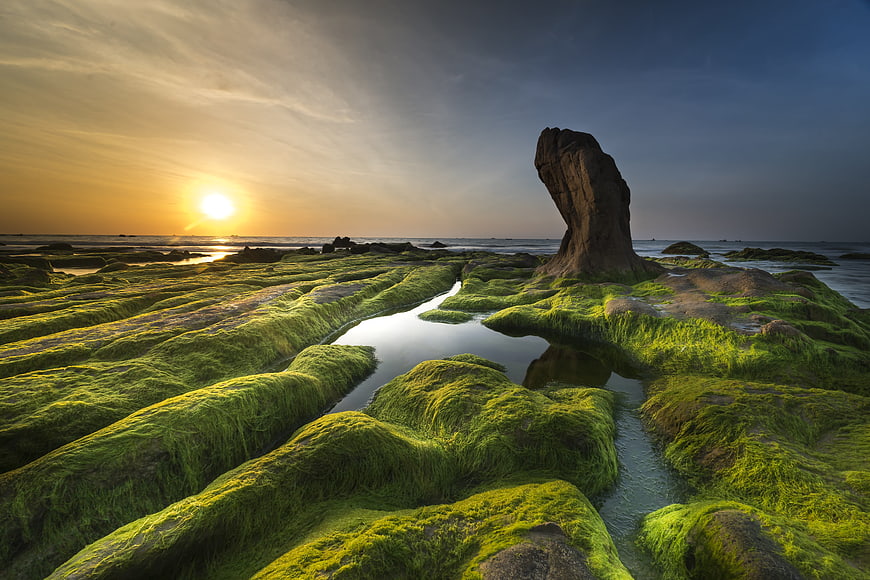 Sunset over mossy coastal rocks with tidal pool