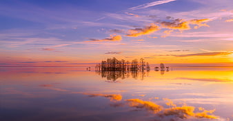 Serene Sunset Reflection Over Lake With Silhouetted Trees