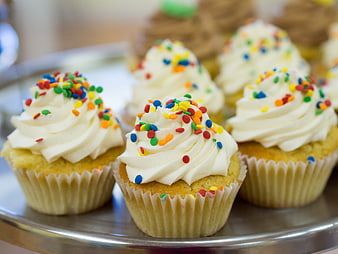 Vanilla Cupcakes with White Frosting and Sprinkles