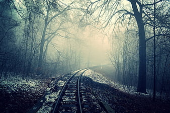 Misty Winter Railway Tracks Curving Through Dark Forest