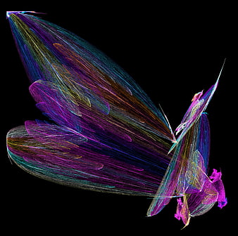Colorful Fractal Butterfly on Black Background