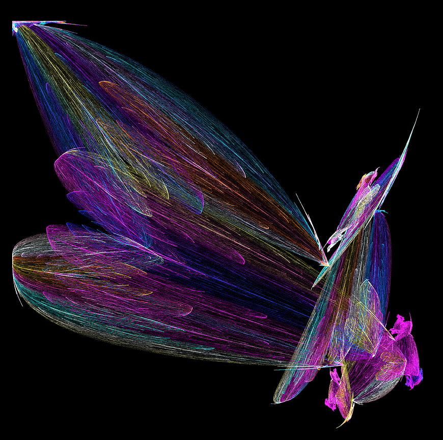 Colorful Fractal Butterfly on Black Background