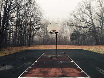 Empty outdoor basketball court in autumn forest