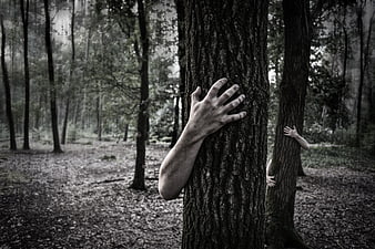 Creepy hands emerging from tree trunks in a dark forest