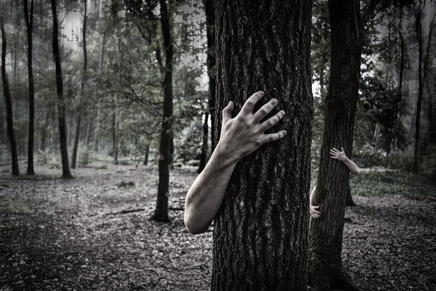Creepy hands emerging from tree trunks in a dark forest