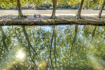 Serene River Reflection of Trees and Picnic Table