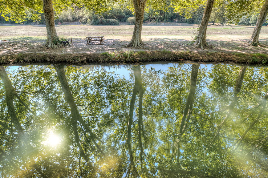 Serene River Reflection of Trees and Picnic Table