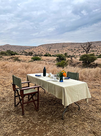 Romantic outdoor dining setup in African savanna landscape