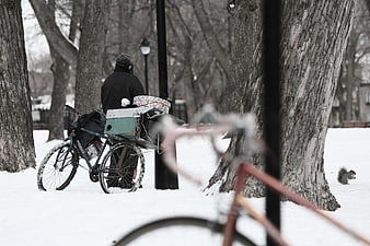 Man with Cargo Bike in Snowy Winter Park