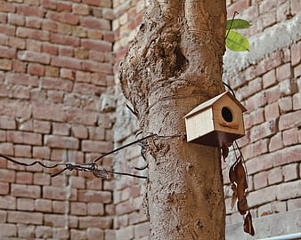 Wooden birdhouse attached to tree trunk against brick wall