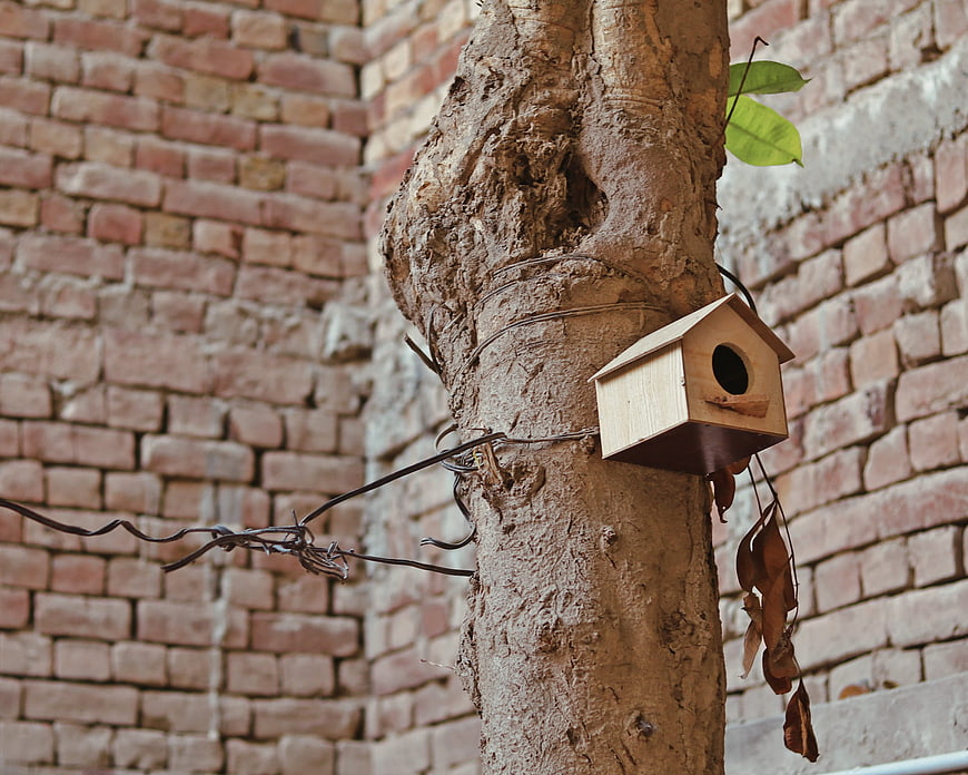 Wooden birdhouse attached to tree trunk against brick wall