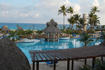 Tropical Resort Swimming Pool With Ocean View And Palm Trees