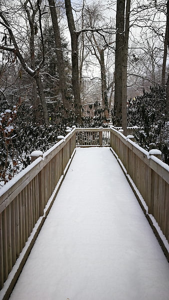 Snow-covered wooden bridge in a winter forest