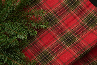 Christmas Pine Branches on Red Plaid Fabric Background