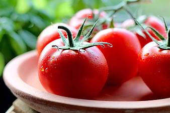 Fresh Red Tomatoes with Water Droplets on a Plate