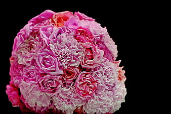 Pink Carnation and Rose Bouquet on Black Background