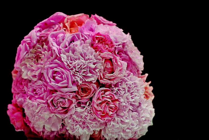 Pink Carnation and Rose Bouquet on Black Background