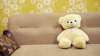 Yellow teddy bear sitting on beige sofa with floral wallpaper