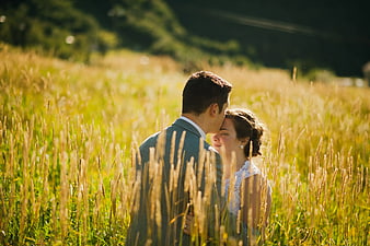 Romantic Couple Kissing in Golden Wheat Field