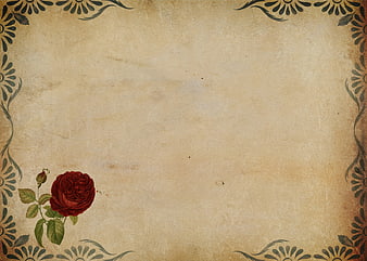 Vintage parchment background with red rose and floral border