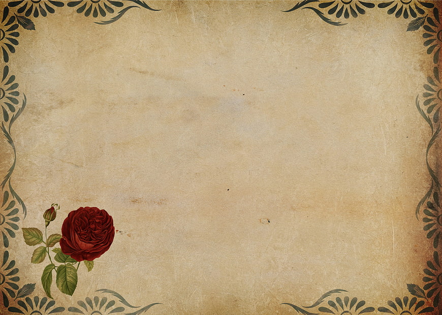 Vintage parchment background with red rose and floral border