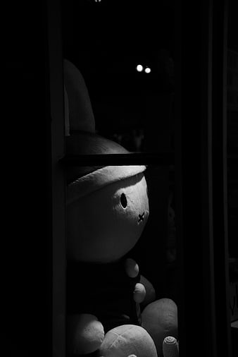 Black and white photo of Miffy doll in dark shadow