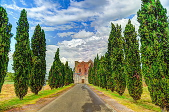 Tuscan Cypress Road Leading to Historic Ruins