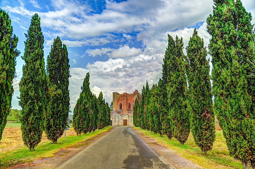 Tuscan Cypress Road Leading to Historic Ruins