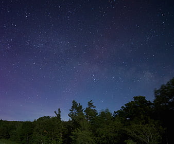 Starry Night Sky Over Dark Forest Silhouette