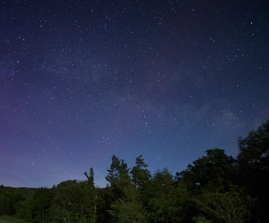 Starry Night Sky Over Dark Forest Silhouette
