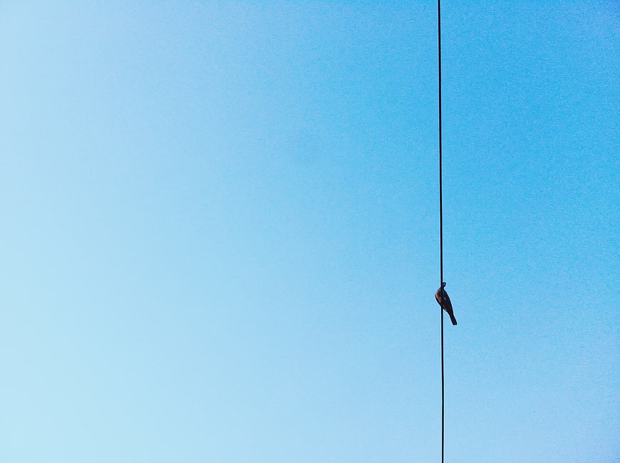 Minimalist bird on wire against blue sky