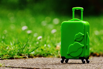 Green toy suitcase with lips design on a path in a grassy field