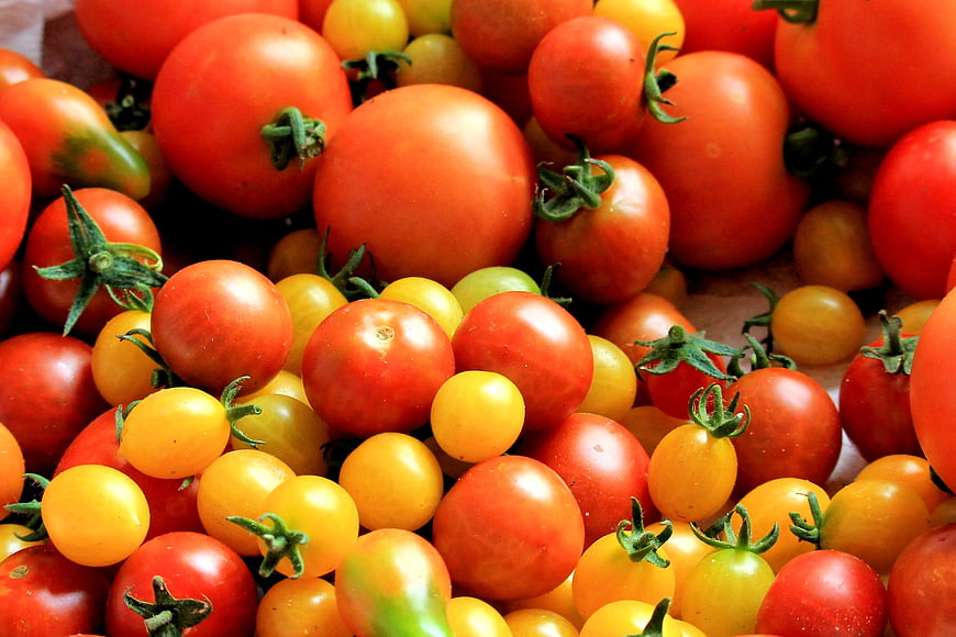 Fresh Red and Yellow Tomatoes Pile