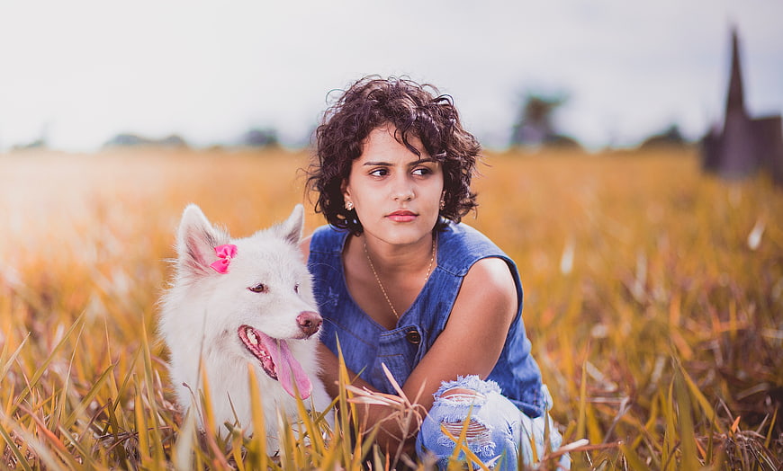 Young Woman with White Dog in Golden Field