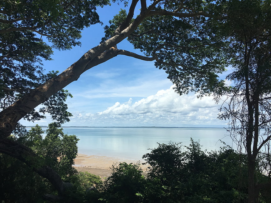 Scenic coastal view through tree branches with blue sky and clouds