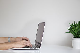 Hands Typing on Laptop with Plant on White Desk