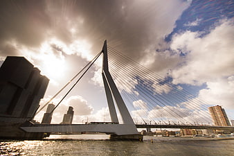 Dramatic Low Angle View of Erasmus Bridge in Rotterdam
