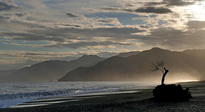 Silhouette of Dead Tree on Beach with Mountains and Sunlight