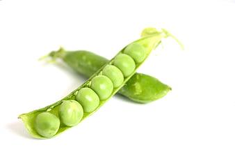 Fresh Green Peas In Open Pod On White Background
