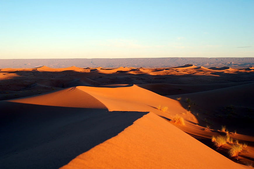 Golden Sand Dunes at Sunset in the Desert